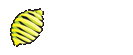 lemon.bg